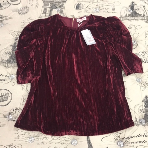 Leyden Crushed Velvet Puff-Sleeve Top - Picture 4 of 5